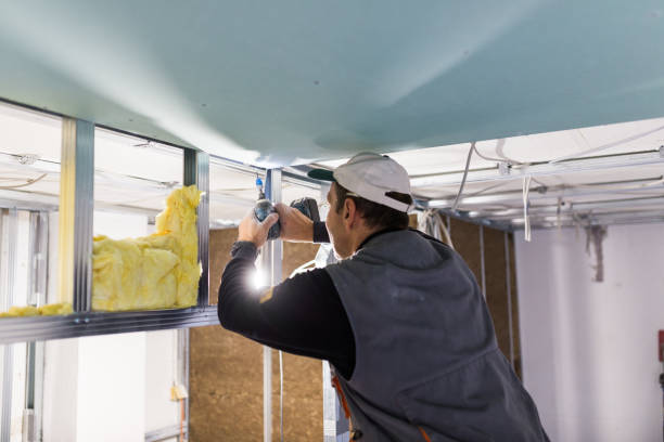 Insulation Replacement Services in Georgiana, AL