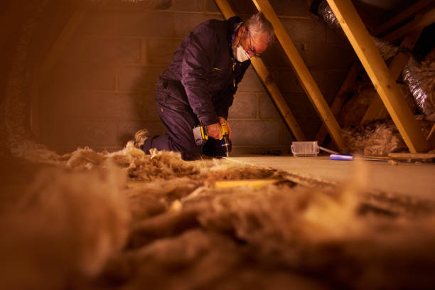 Best Insulation Replacement Services  in Georgiana, AL